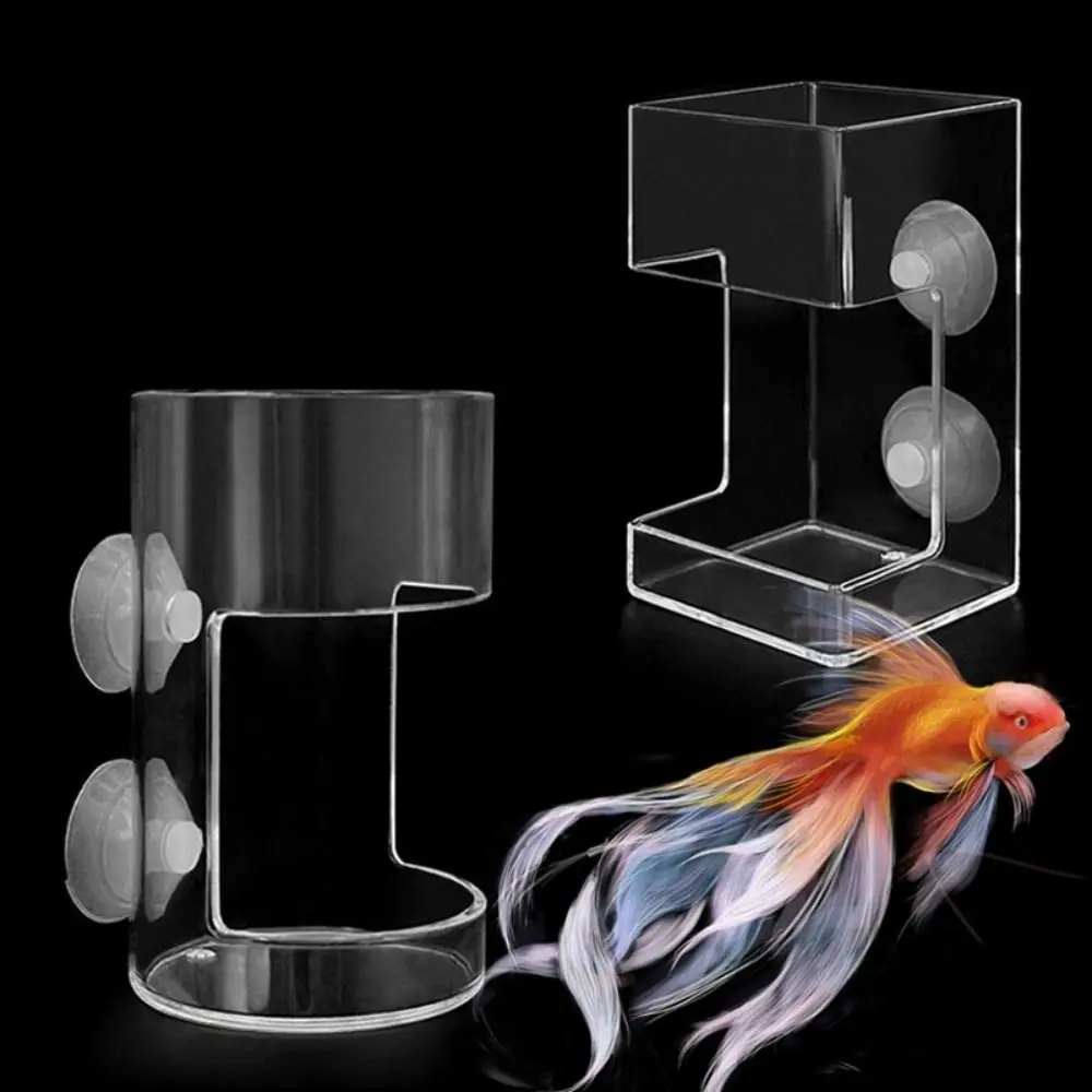 Acrylic Aquarium Feeders Ring Transparent Suction Cup Fish Tank Food Dispenser Durable Fixed-Point Fish Feeder Tray