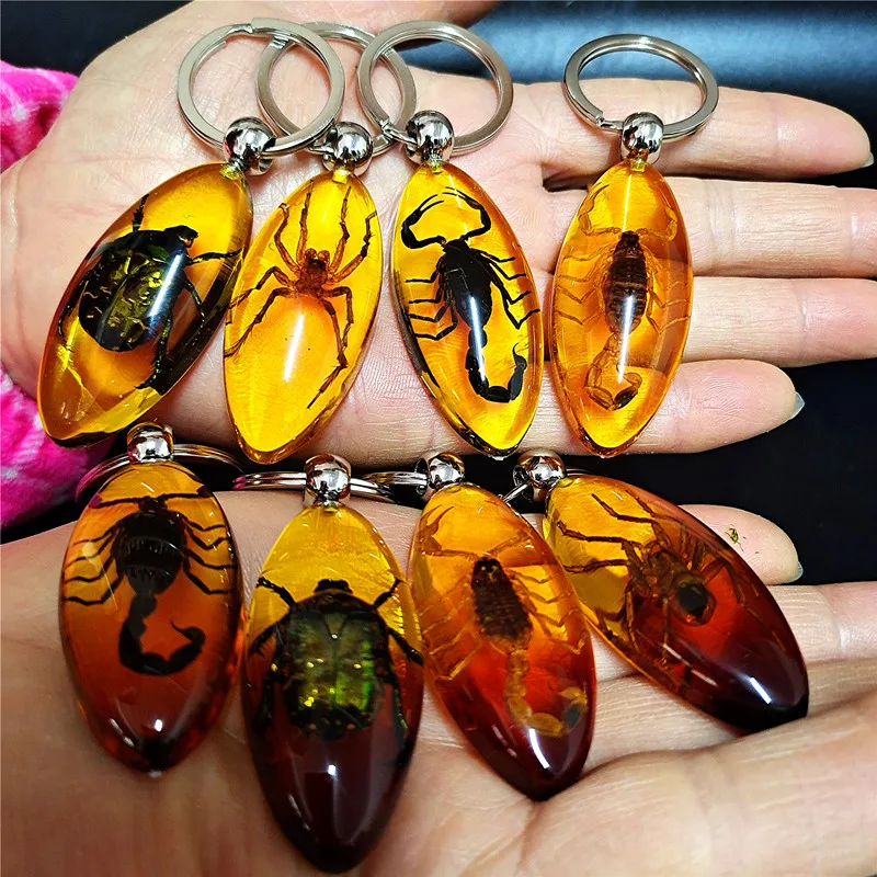 Real Insect Resin Biological Specimen Crab Spider Scorpion Golden Turtle Wasp Spade Beetle Red Bean Ant Key Chain Decoration