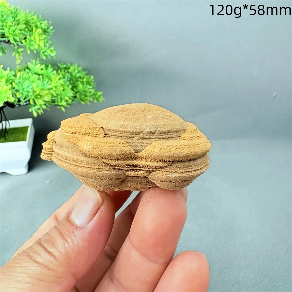 Rare Strong Magnetic Desert Surface Gemstone Minerals Small Energy Healing Witchcraft Decorative Family Item Naturally Occurring