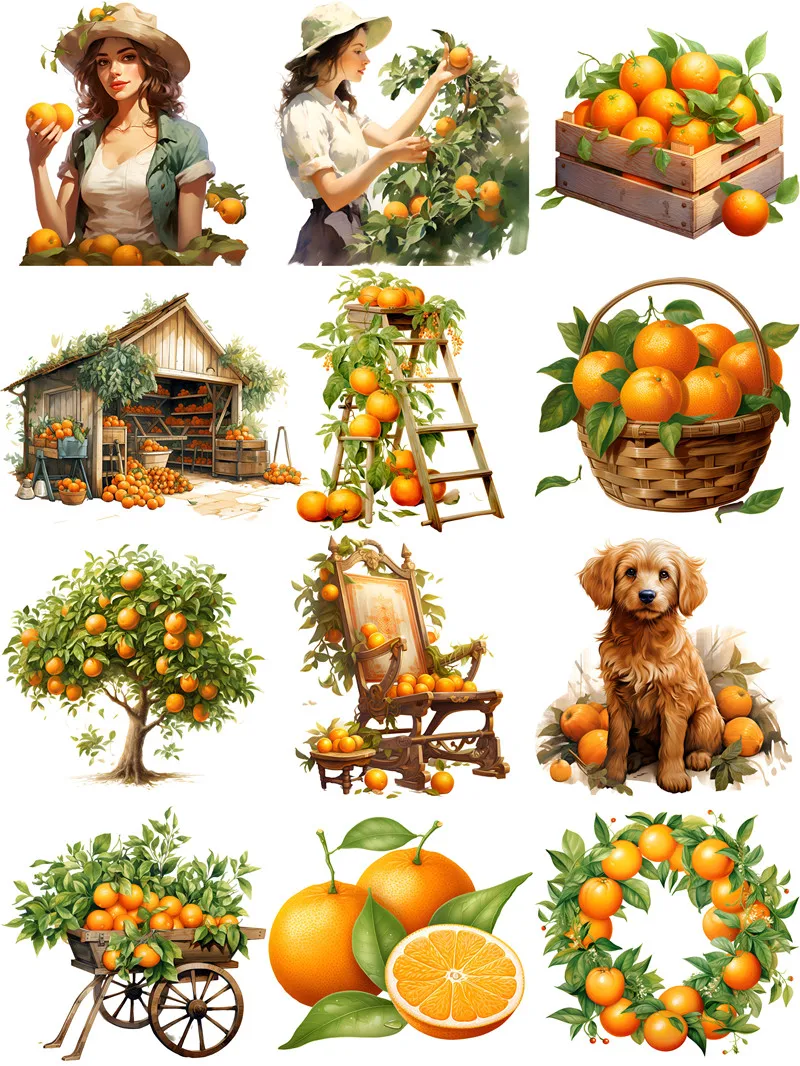 Orange Orchard Stickers Crafts And Scrapbooking stickers kids toys book Decorative sticker DIY Stationery