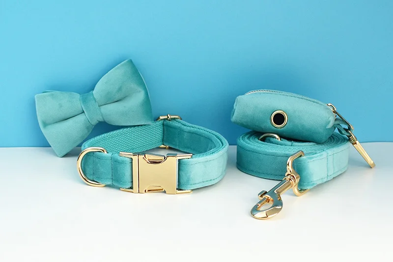 Türkisfarbenes Samt-Hundehalsband und Leinen-Set für Hunde, individuell graviertes Namensschild, Haustierbedarf, Hundeleine, Samt, 40 – Detail 5