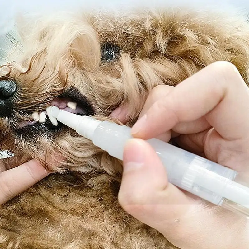 Remover For Teeth Dog Pet Teeth Repairing For Teeth Cleaning Pet Toothbrush Pen Odorless Cat Teeth Cleaner Tool For Puppy Kitten