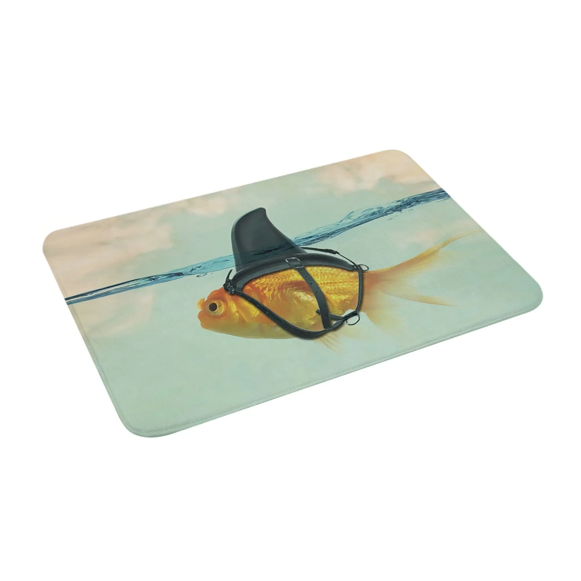 

Brilliant Disguise (RM) Non-slip Doormat Floor Mat Cushion Carpet Rug for Kitchen Entrance Home Bedroom Footpad Mats