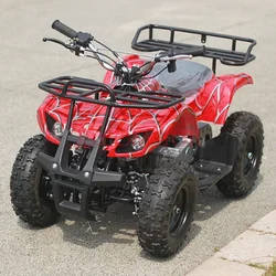 49CC Atvs 4 Wheeler Quad bike Off-road beach Bikes Children's toys for Kids Gas Atv