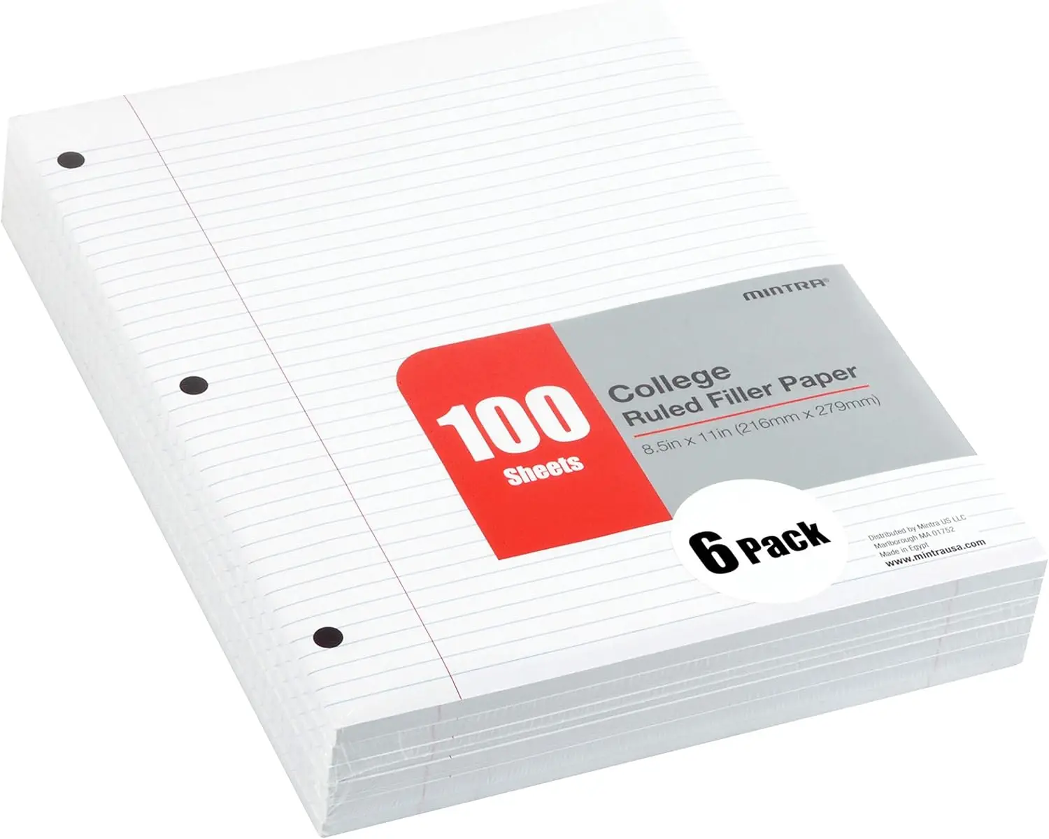 

College Ruled Loose Leaf Filler Paper for 3-Ring Binder, 600 Sheets Bulk Pack with 3 Hole Punched