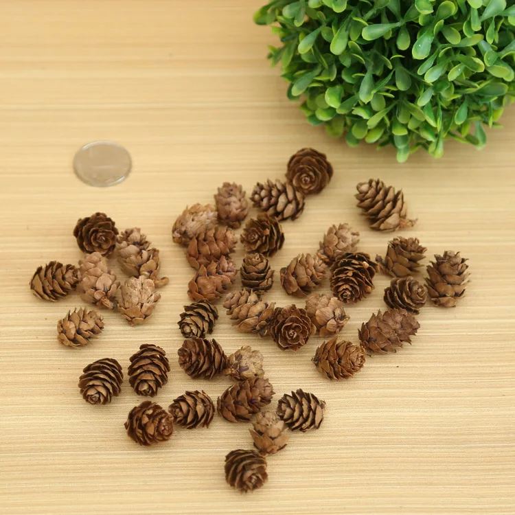 100 Pcs Fine Quality Wooden Pine Cone Xmas Decor Assorted Color Home Office Store Decorative Mini Pine Cone