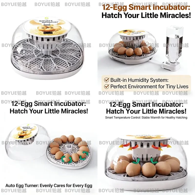 Household Small Chicken, Duck, Goose Egg Incubator Automatically Add Water Intelligent Temperature Control 12 Eggs Incubators