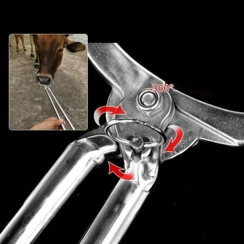 الكربون الصلب الثور كماشة بأنف ملزمة الجر أدوات طبيب بيطري المهنية المحمولة قابل للتعديل كماشة أدوات يدوية ذات مقبض طويل #5