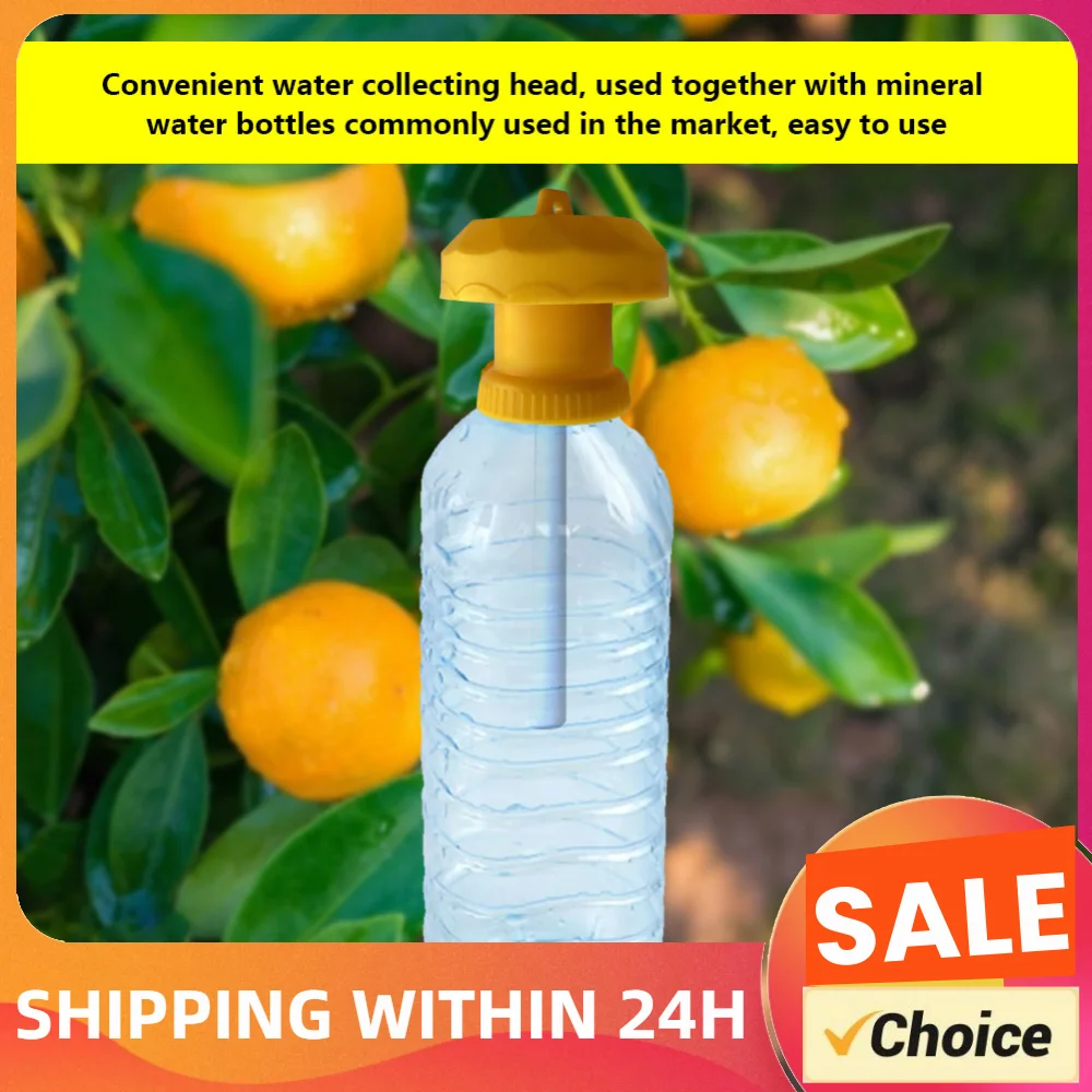 Control Drosophila Catcher Fruit Fly Trap Killer Cover Insect Beverage Bottle Vegetable Simple Farm Home Garden