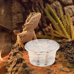 20 Pcs Reptile Water Dish Transparent Design Lizard Gecko Terrarium Supplies Wear Resistant Bowl Multi Function Food Cup Pet