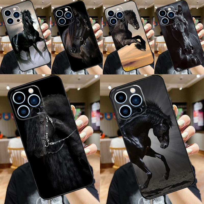 Beautiful Black Hor… - image