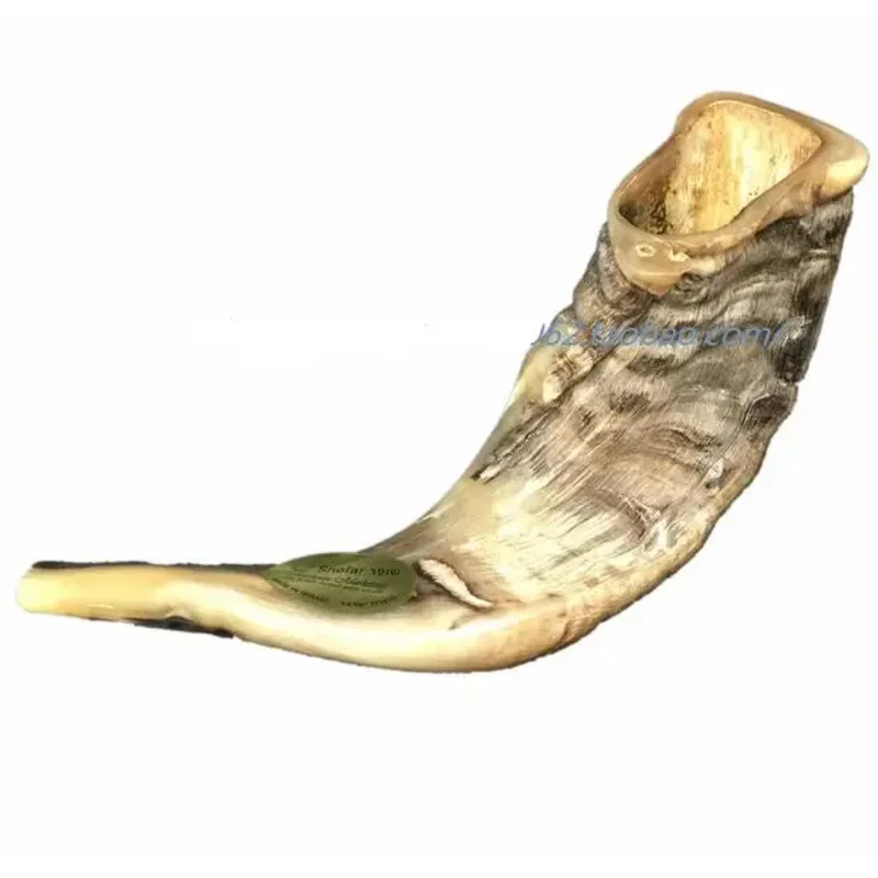 Mishaan Marketing Shofar 33CM Israel Horn Original style Rams Tradition Coarse