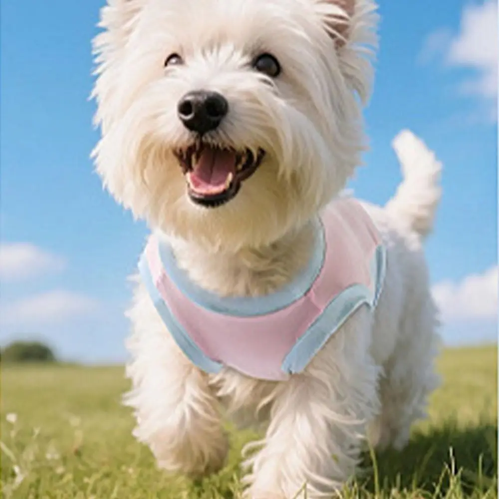 

Pet Supplies Thin Dog Cooling Vest Breathable Soft Pet Sunscreen Clothes Sleeveless Cat Ice Silk Shirt For Puppy Small Animal