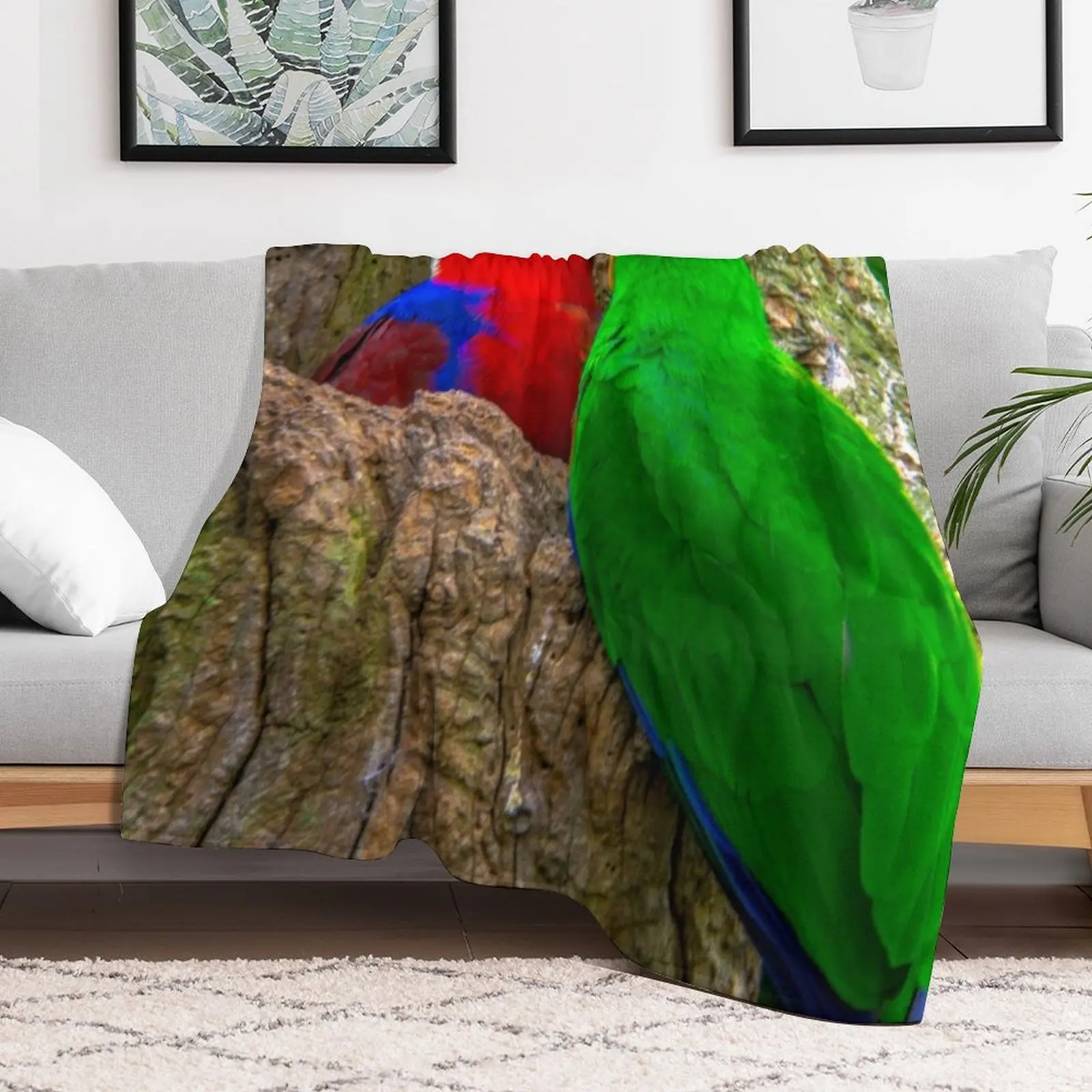 Eclectus Parrots Throw Blanket Stuffeds Sofa Quilt Luxury Luxury Brand Blankets