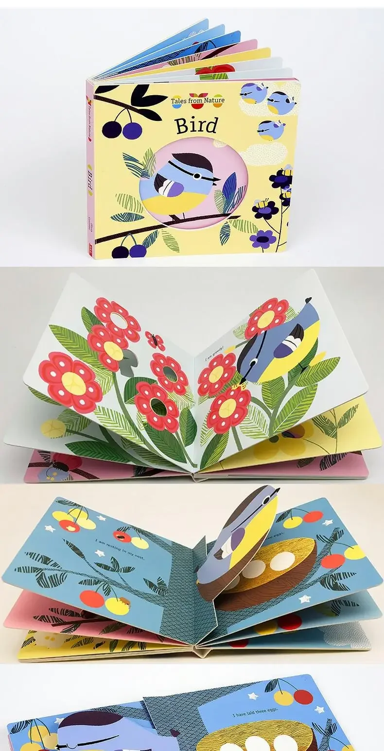 حكايات الطيور من الطبيعة، كتب الأطفال الصغار الذين تتراوح أعمارهم بين 1 2 3، كتاب مصور باللغة الإنجليزية، 9781784932572 #5