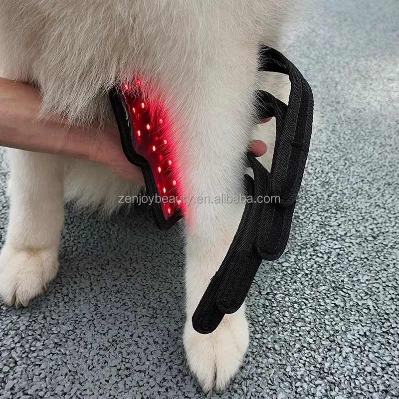 

New Home Use Red Light Infrared Wrap for Dog's Paw 660nm 850nm Pet Therapy Mat Built-in Battery Dog's Pain beau ty Personal Care