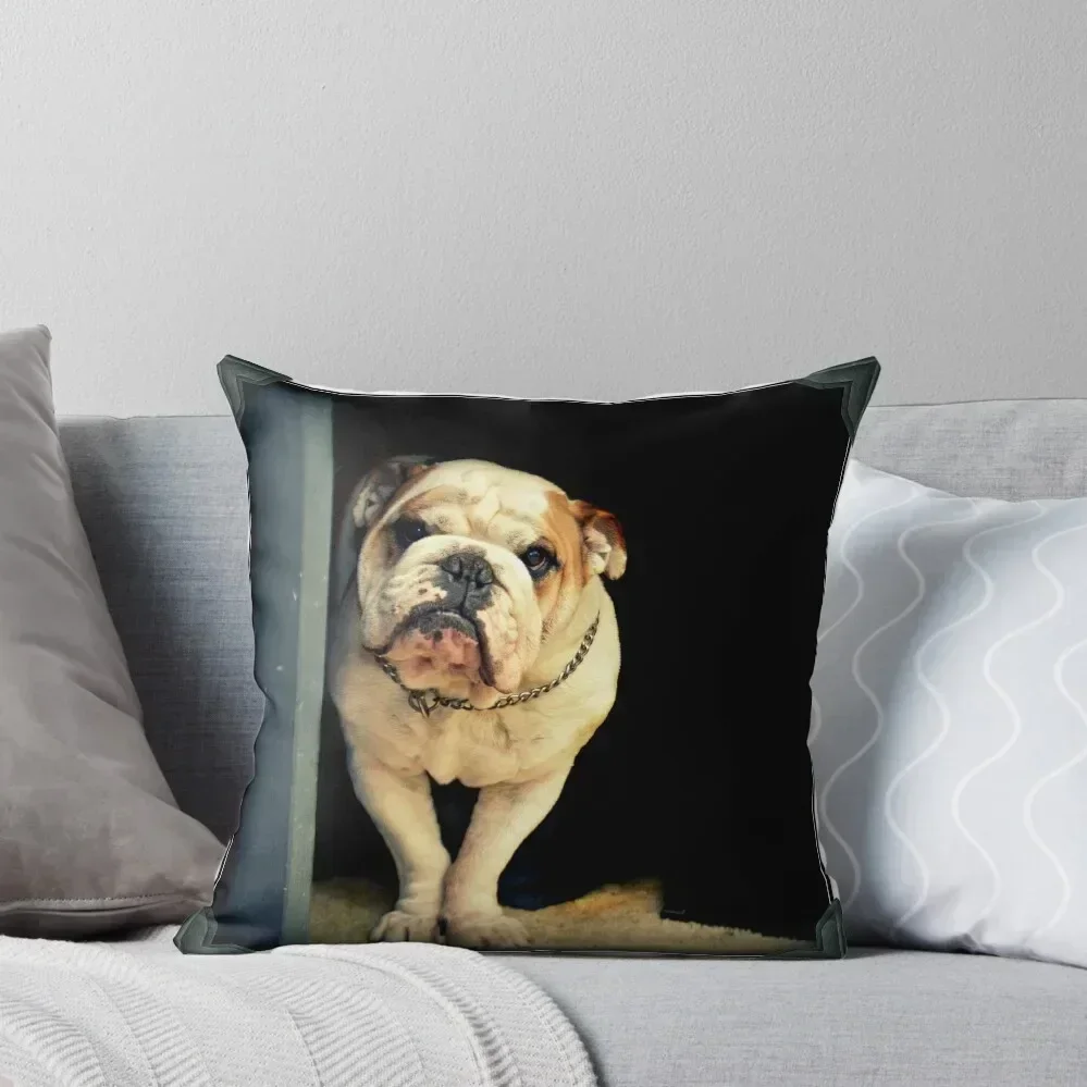 ~Floyd~ Throw Pillow luxury sofa pillows Rectangular Cushion Cover pillow