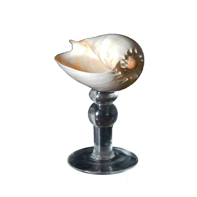 

Natural conch shell goblet retro champagne glass gift decoration ornament