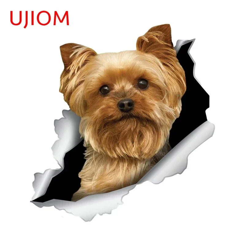 UJIOM 13cm X 12.1cm Cute Dog Tear Wall Stickers Funny Sofa Wall Wardrobe Chambre Decal Wallpapers Home Decor Accessories