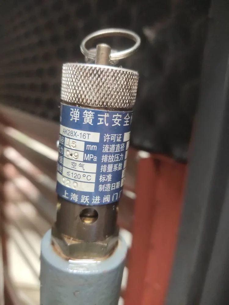 

Screw air compressor safety valve