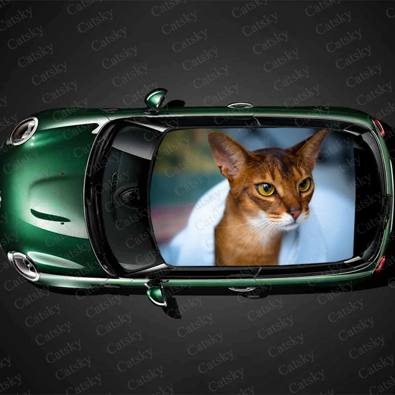 Cat Abyssinian Car roof sticker wrap racing SUV accessories packaging spray paint PVC car interior accessories pain car decals