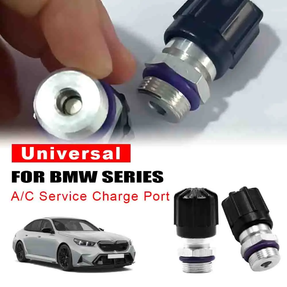 

2 шт., высокий низкий боковой порт зарядки кондиционера, система шарового клапана, сердечники для BMW Benz Audi VW Maiteng Kaidi Tiguan