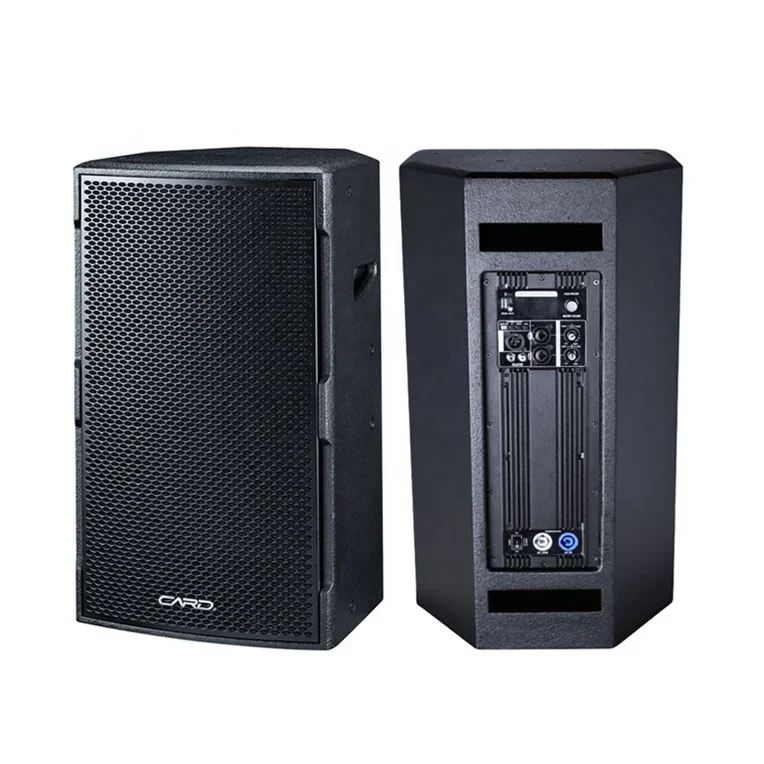 

Professional Loudspeaker Audio System Line Array Speakers 15 Inch Pa Sound Speakers For Concerts