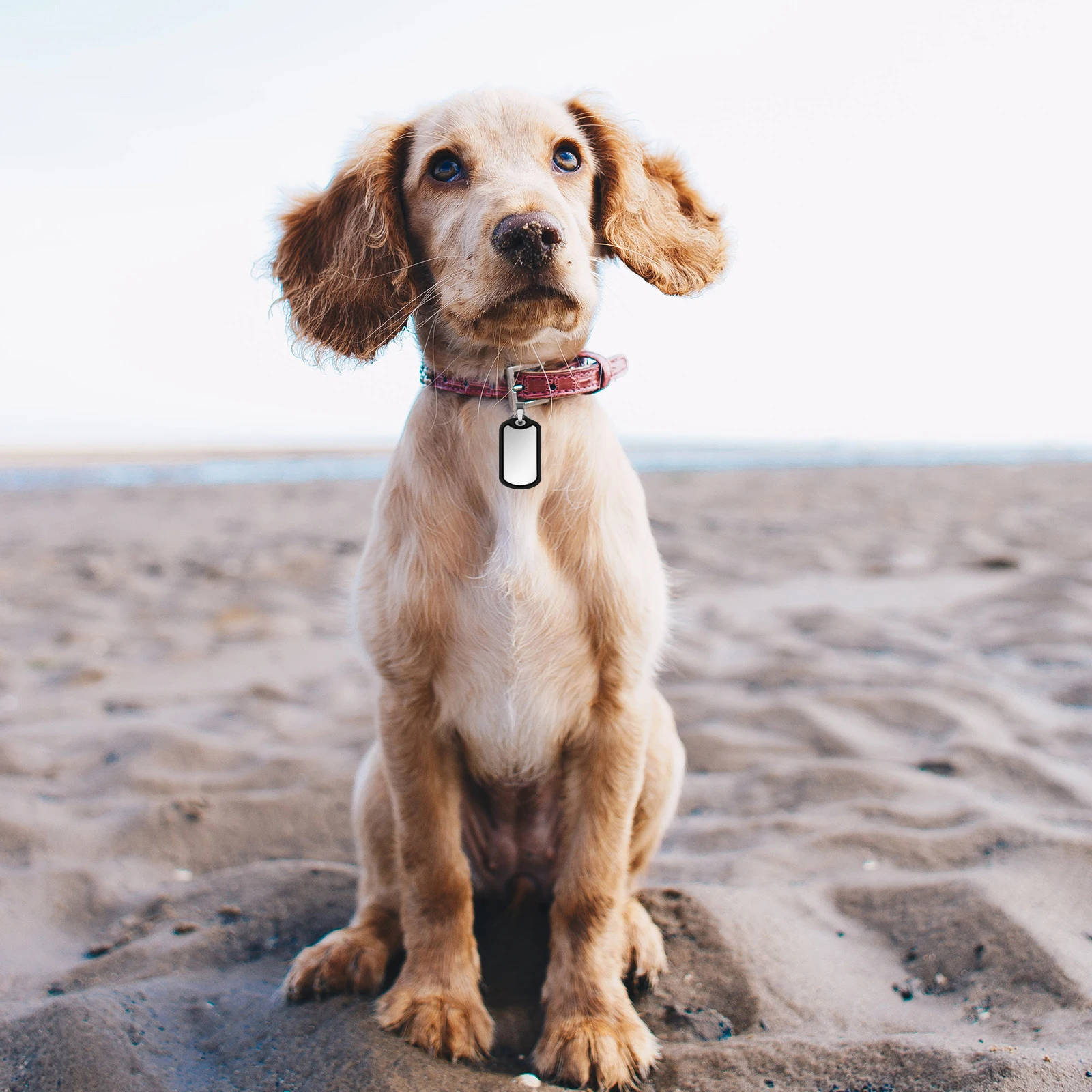 

Silicone Dog Tag Silencers 4Pcs Set Noise Reducing Military ID Tags Covers for Pet Collar Protection Supplies