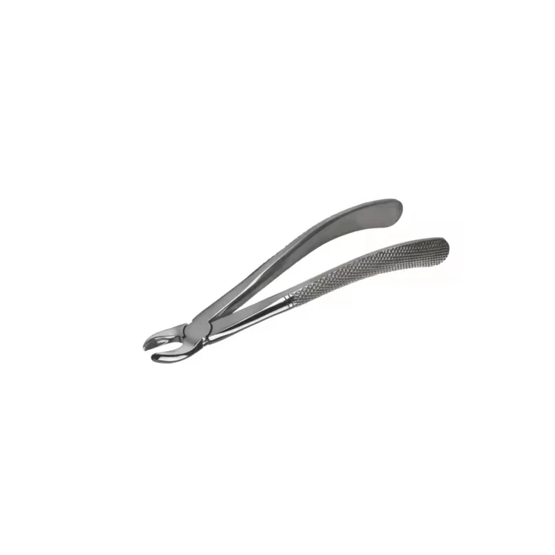 

Dental Extraction Forceps English Pattern Steeliness Steel Dental Equipment Dental Extracting Instruments