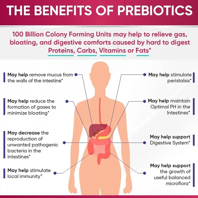 Enzyme Digestive CFU, Probiotique, Cranberry, Aide à la Digestion et à l'immunité intestinales condamnées, Formule de haute qualité, 100 milliards