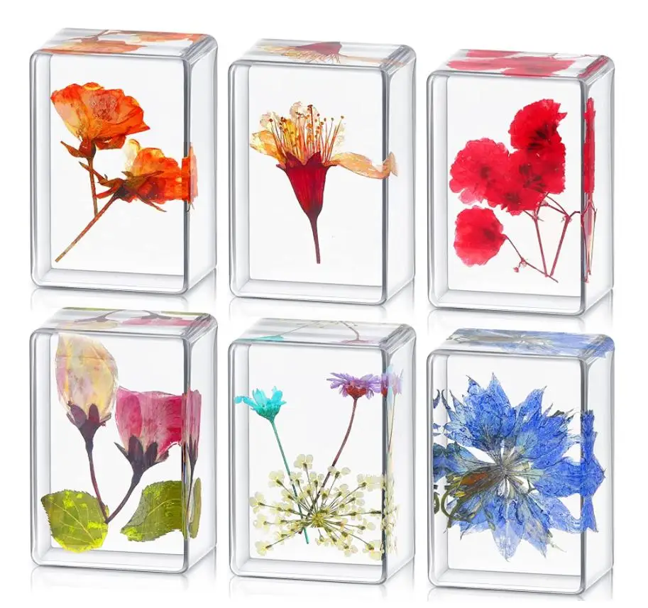 24pcs  Dried Flower Specimen Clear Resin Cube Paperweight Kids Party Favors Scientific Educational Toy Office Table Decor