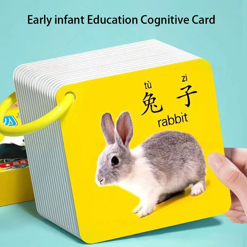 

45 Sheets/box of Baby Cognitive Cards, Look At Pictures To Recognize Objects, Infant Enlightenment Early Education Cards