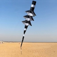 3d kite tails rainbow windsock kite flying outdoor sport beach for adults kite nylon fabric inflatable toys kevlar kitesurfing