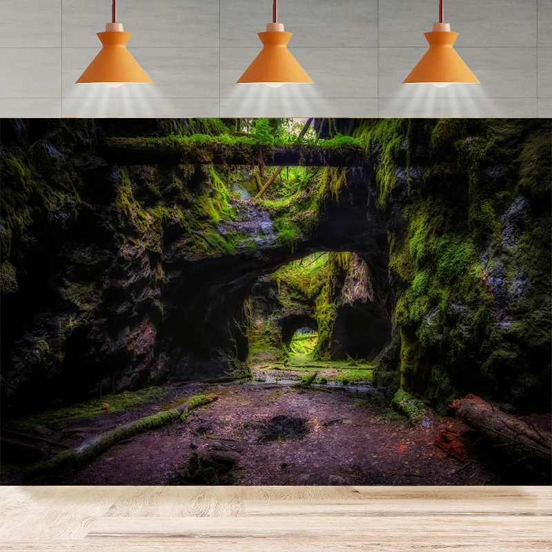 Rainforest Photography Backdrop Enchanted Jungle Forest Anaga Island Path Cave Natural Scenery Background Party Backdrop Wall