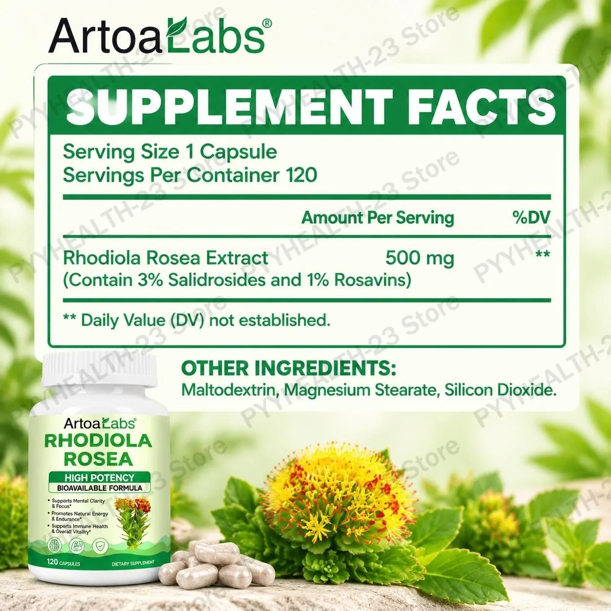 ArtoaLabs Rhodiola Rosea Capsules Reduce Stress Provide Energy Resist Oxidation Improve Skin Enhance Cognition Improve Focus