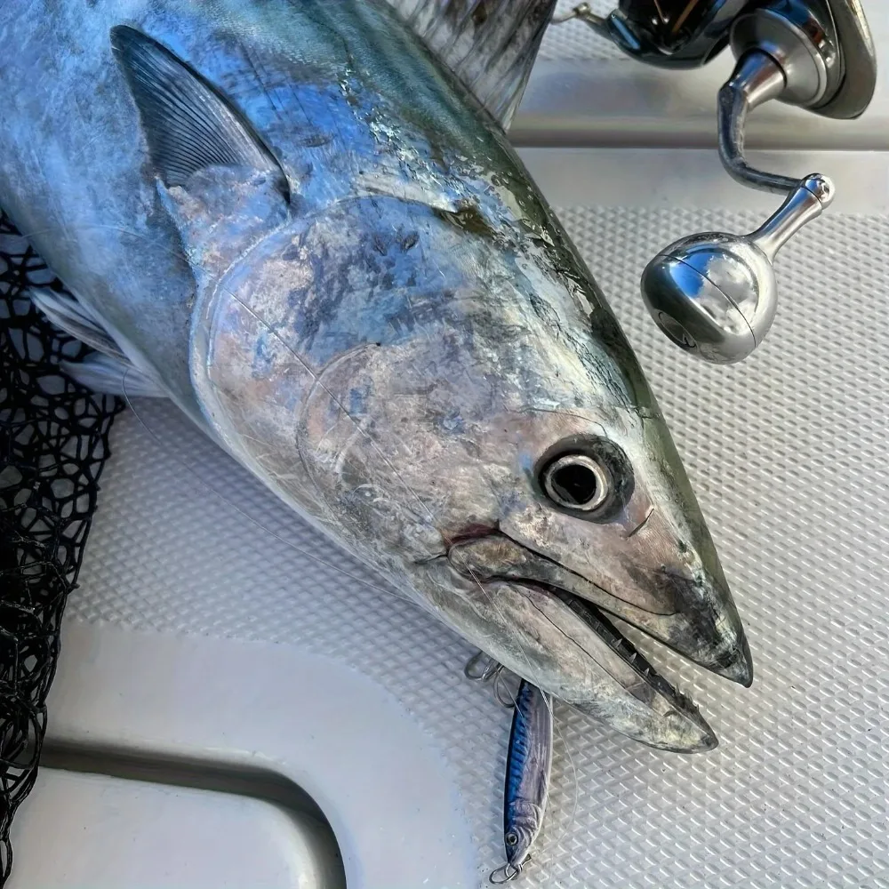 High Density Fast Sinking Metal Jig Lure, 3D Printed 40g 60g 80g Vertical Jig, Saltwater Shore Casting & Boat Rock Fishing Lure