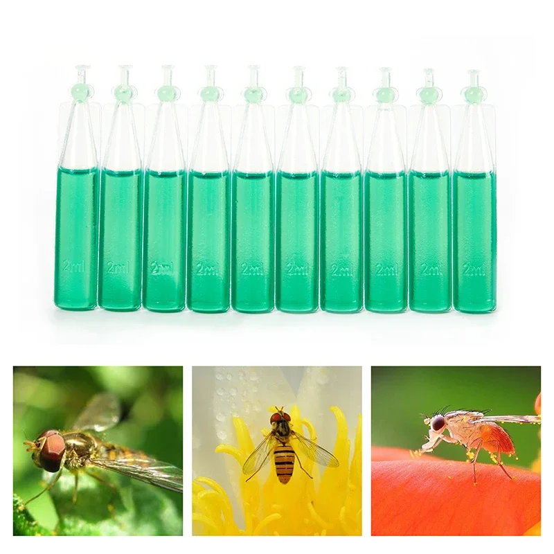 10Pcs/Bag Fruit Fly…