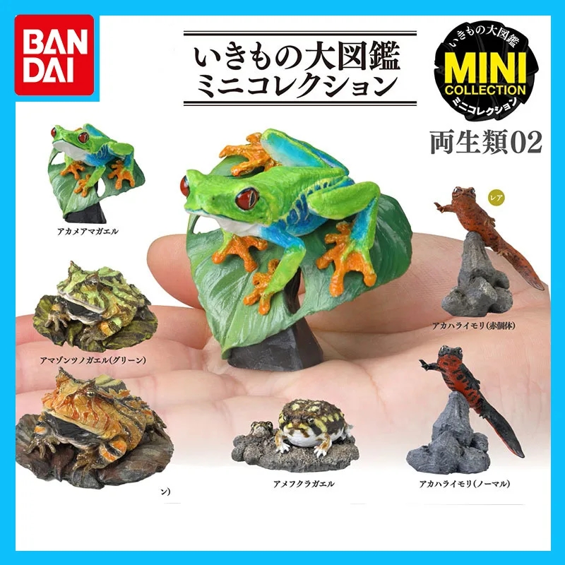 

Bandai Original Biological Atlas Anime Figure Gashapon Amphibians 2 Hornfrog Action Figure Toys for Boys Girls Kids Gift