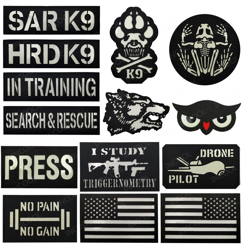 Wolf Frog Owl K9 Cat Glow in Dark Patch Drone Pilot Armband No Pain No Gain Tactical White Luminous Badges Decorative Patches
