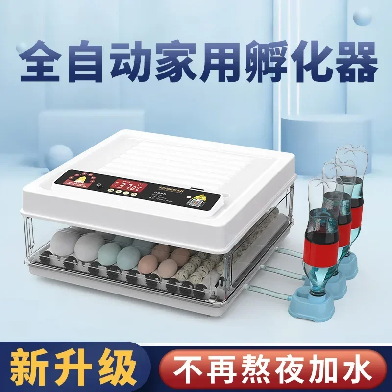 24 Eggs Incubator Fully Automatic Turning Hatching Brooder Farm Bird Quail Chicken Poultry Farm Hatcher Turner chocadeiras