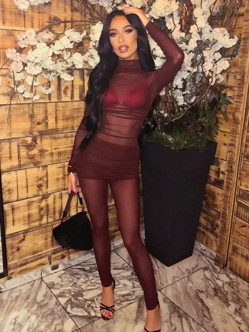 Wine Red Mesh Two Piece Set Sexy Turtleneck Long Sleeve Dresses and High Waist Pant Sets 2025 Women See-through Trousers Suit