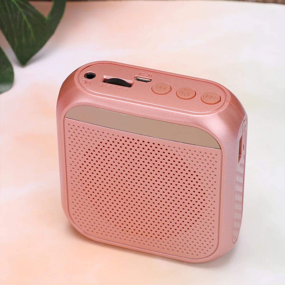 

1PC Portable Wireless Voice Amplifier Multifunctional Sound Voice Loud Speaker with Microphone for Teaching Speech Meeting (Rose