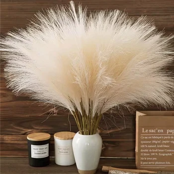 10 Piece Fluffy Pampas Grass 1