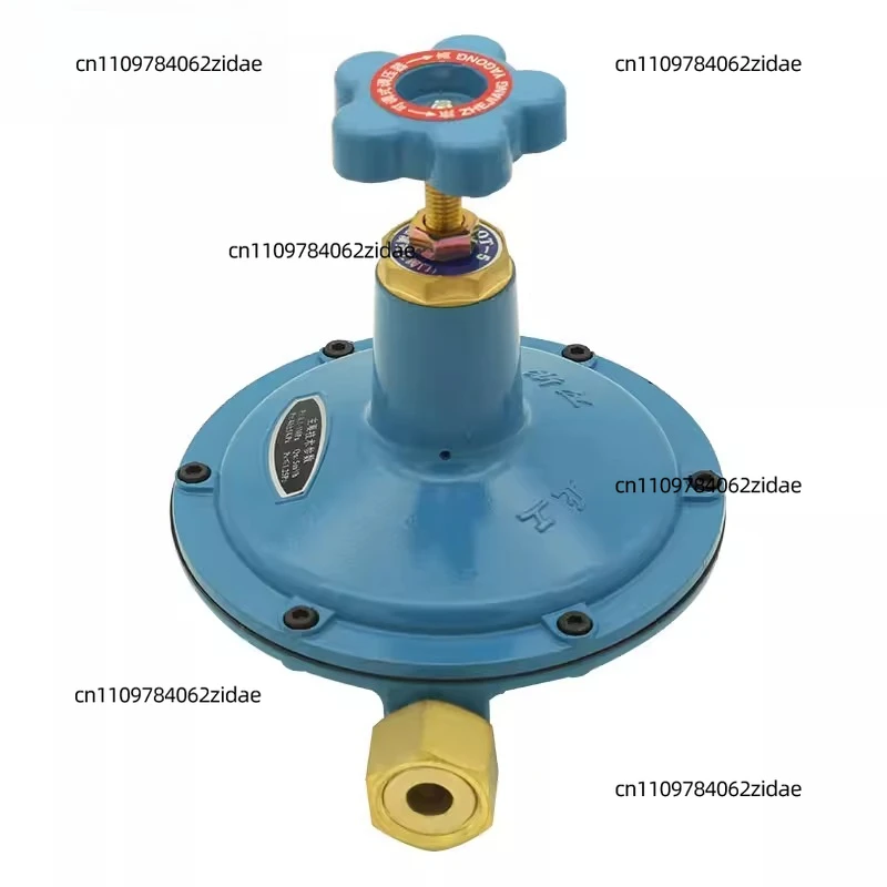 valvola-di-riduzione-della-pressione-per-bruciatori-a-gas-tipo-qt-5-qt-10-gas-liquefatto-e-gas-petrolio