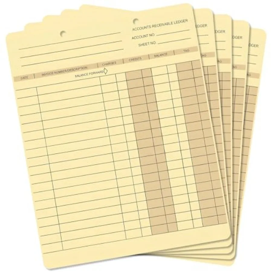 250 Ledgers Cards for Bookkeeping 9.25 x 0.25 x 7.5 Inches Accounting Ledger Cards for Home Tracking Money Expenses Business