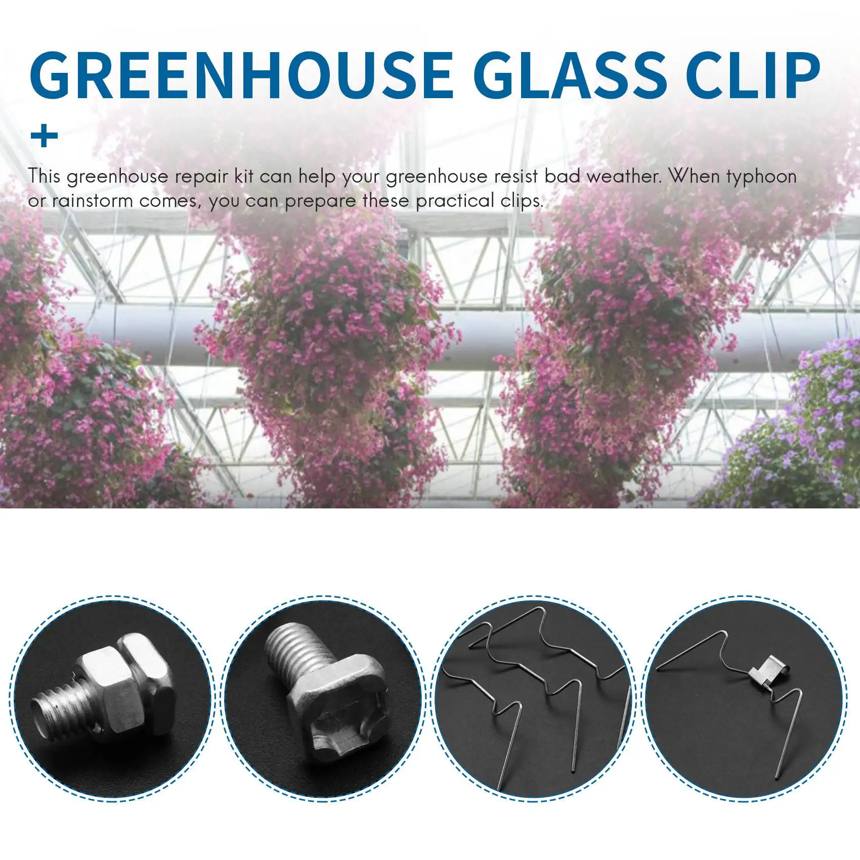 Slide image 7ed76130d0004fa0bce6bddd1e23f368