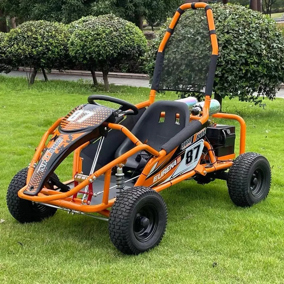 

Off Road Go Kart, 48V Electric Dune Buggy, Drift Kart for Adults, All Terrain Vehicle, Park Rental, Outdoor Adventure Cart