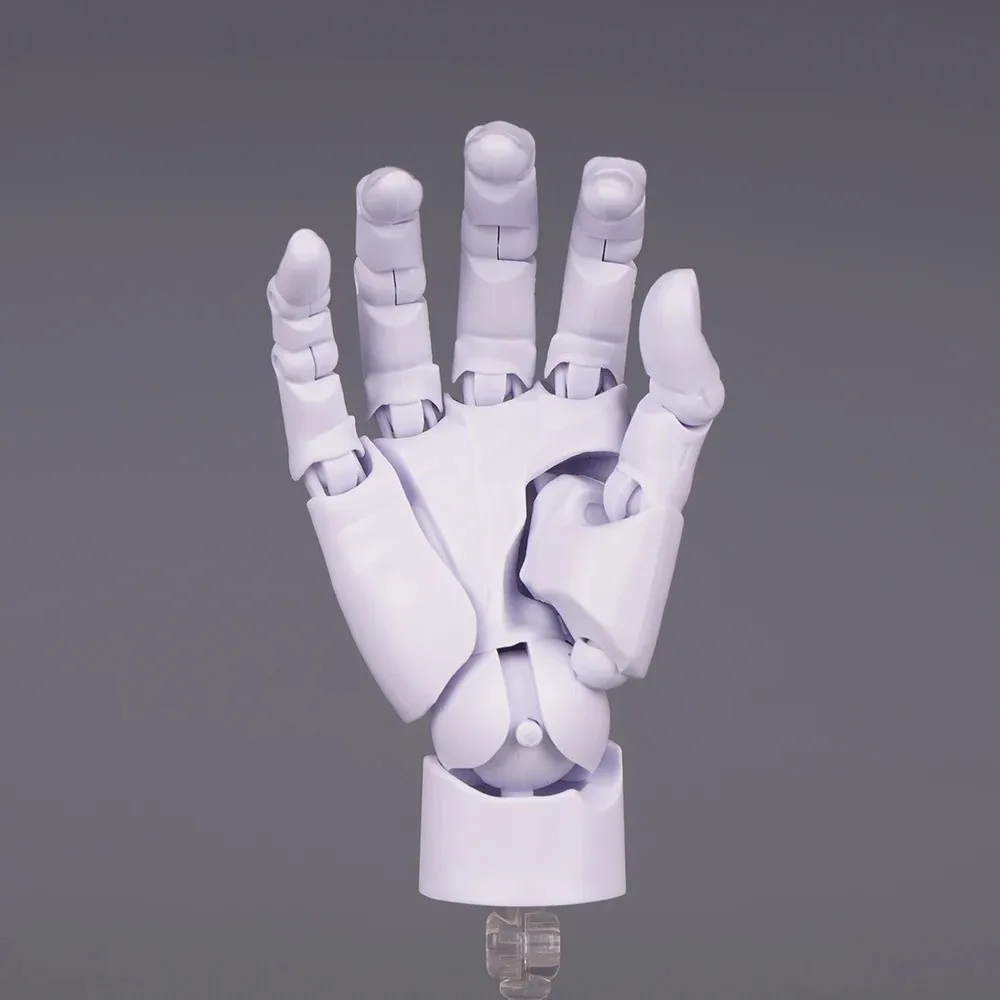 1:2 Scale Human Hand Model Mini Size Movable Joints Palm Model Twisted Egg Design With Posable Fingers Movable Finger Joints view 3