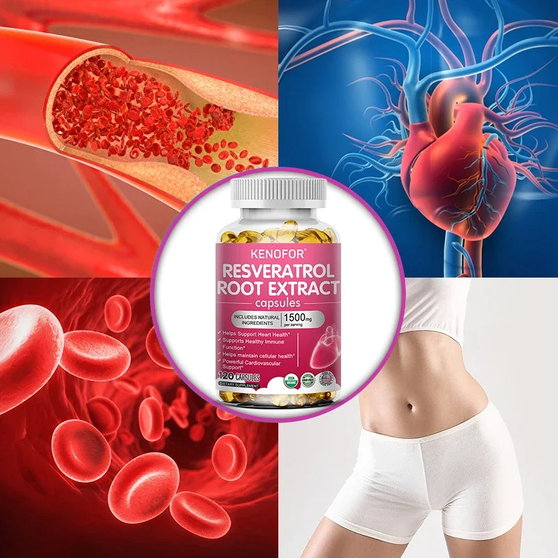 RESVERATROL ROOT , 1500 Mg of Powerful Antioxidants and Trans-resveratrol for Anti-aging, Cardiovascular, Maximum Benefits