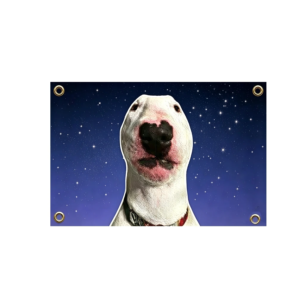 2x3ft 3x5ft Walter The Dog Meme Flag Bull Terrier Galaxy Space Banner For College Dorm Man Cave Bedroom Decor